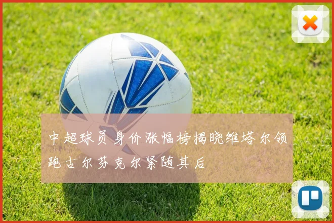 中超球员身价涨幅榜揭晓维塔尔领跑古尔芬克尔紧随其后